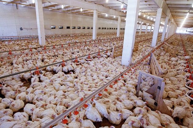 ���������� ��������� ���� ������������ ������ ��� ��������������� � ������ � ������������� ������ ��� ��������� ����������� � ��� �� 9,2%