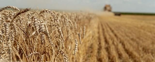 �� ������ ����� ����������� ������� ���������, ����� ���������� �������� �������� ������������� ��� ������� 5 ��� � ��������