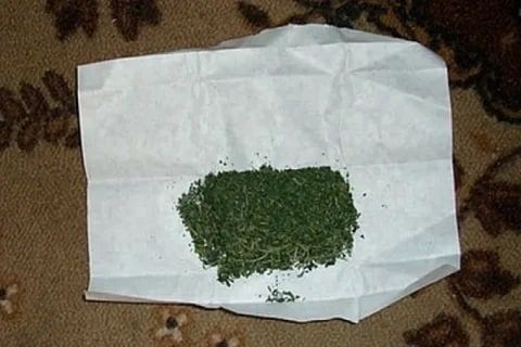 � ��������� ����������� ��������� ��������� � ����������