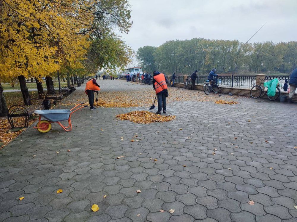 �� ���������� ������ ������, ������� � �������