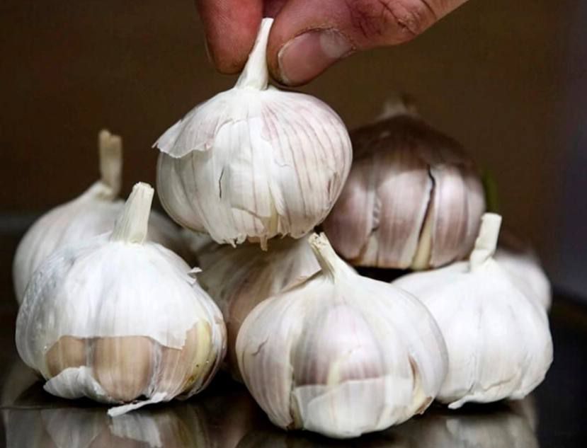 ������ ������� ���� ������ ���������: