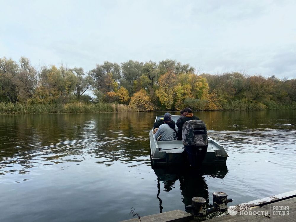 ���������� ������ ����������, ����� ����� �������� ����� �� ������������