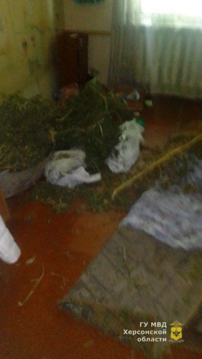 ������ ��������� ������ ������� � ���������