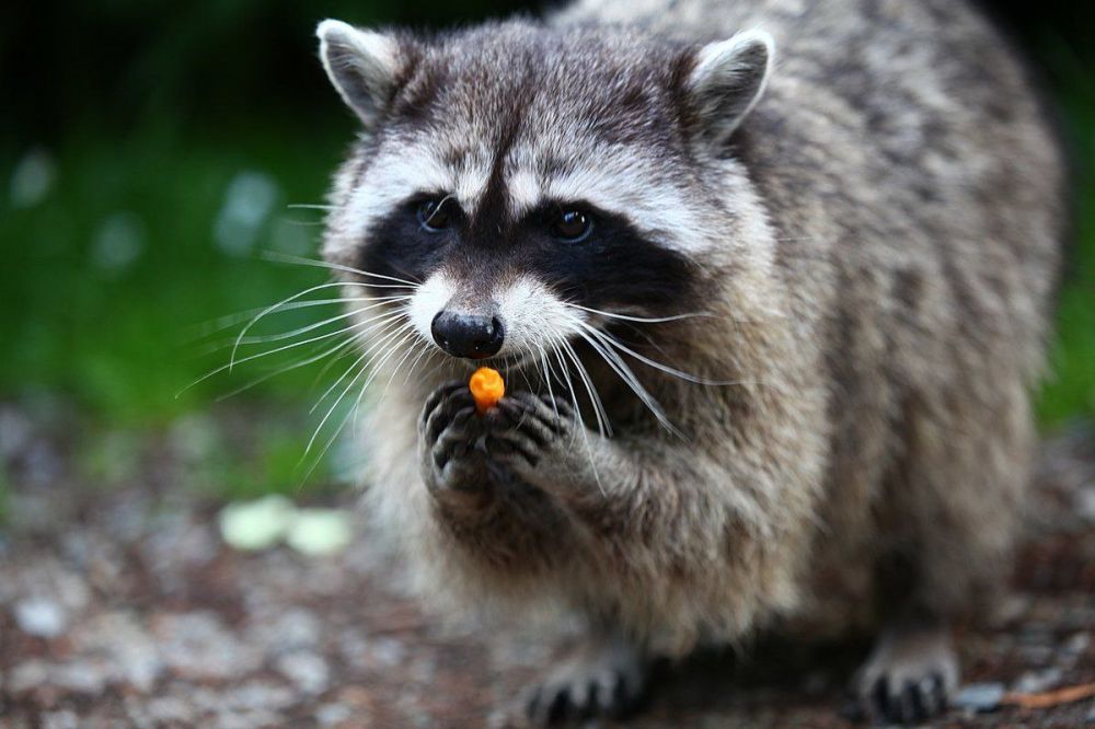 ��������� ���������������, ������� � ������������� ������ ������ ������!