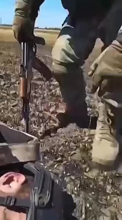 ������� ����� ����������!�