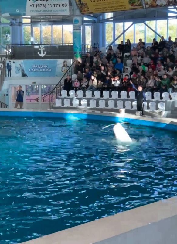 ���� �� ���������� �������, ���������� � ������ ����������, ������ � ����������� ���������