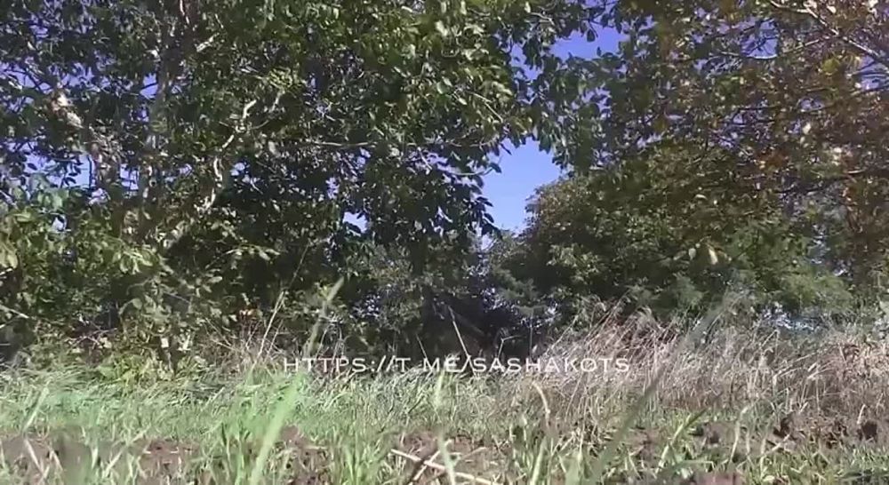 �� ��������� ������ ���������� ����� ������ ����������� �� ����� ������ �������������-��������� �������������� ������������ ����