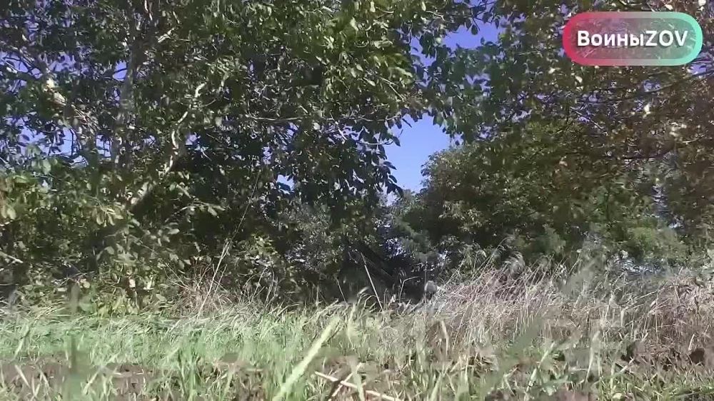 #���������. ����� ���������� ���-��� �� ���������� �����������