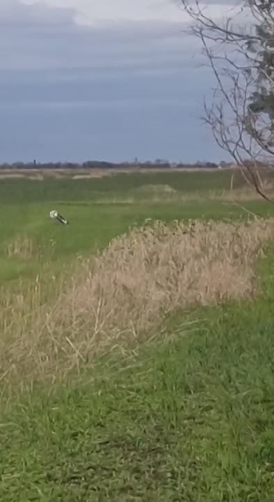 ���������� ��������� �������������� ��-34 �������� ����������� ���-250 �� ��� � ���������� �������