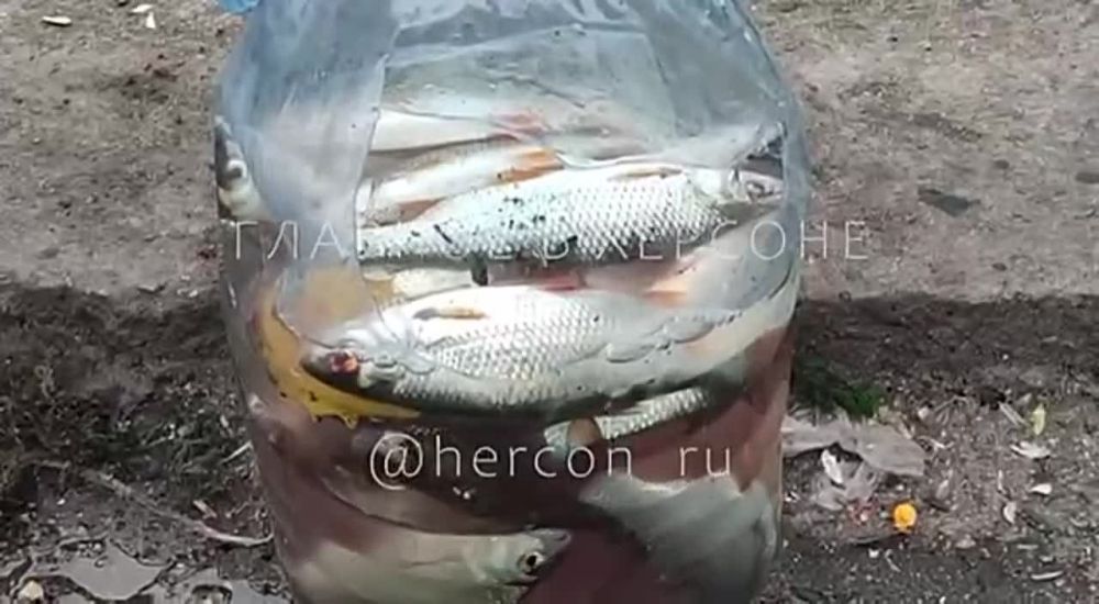 ������� ������ �������� "������� � �������" ���� ���� � � ������ ���������, �� ������� ����� �� �������