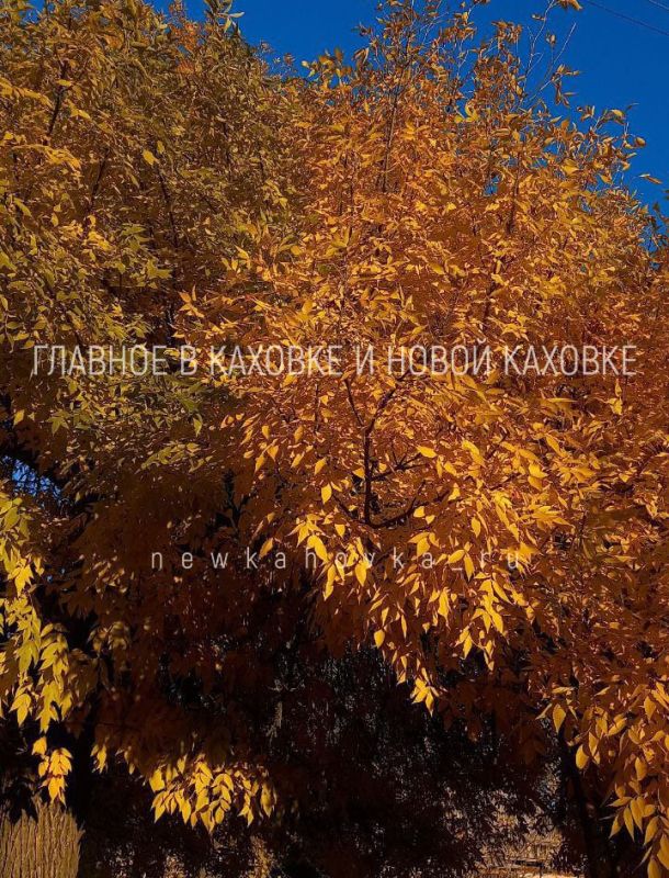 ������� ����� � ����� �������, ����� ������ ���������� �� ��������