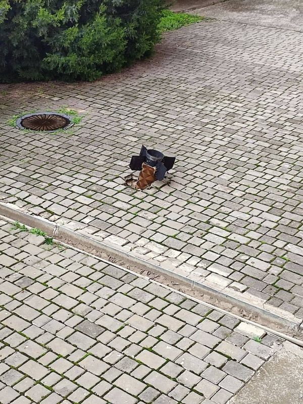 ��� ������� �������� ���� �� ����������� ��������������� ����������