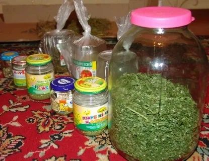 � ���� ������������ ����������� ���������� � ������� ������������ ���������