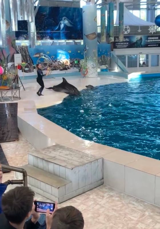 ���������� � ������� ������ ���������� ���� �������� �������� ����� ����������� � ���������