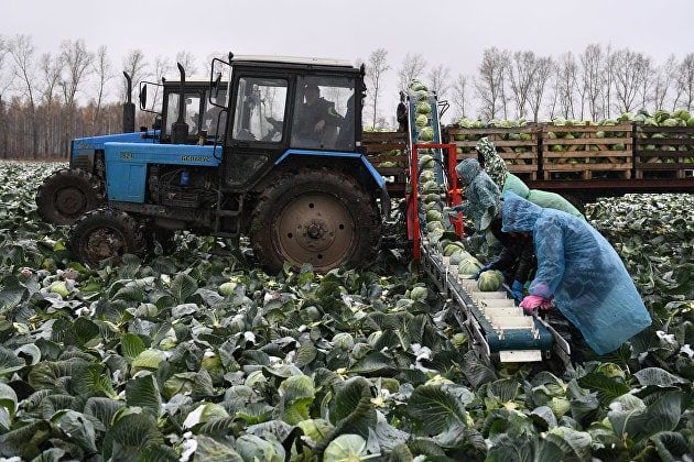 ������� ���� ���������� ������ ����������� ���������� �� �������� ������������ � ���������������� � �� � 2023 ���� � ������...