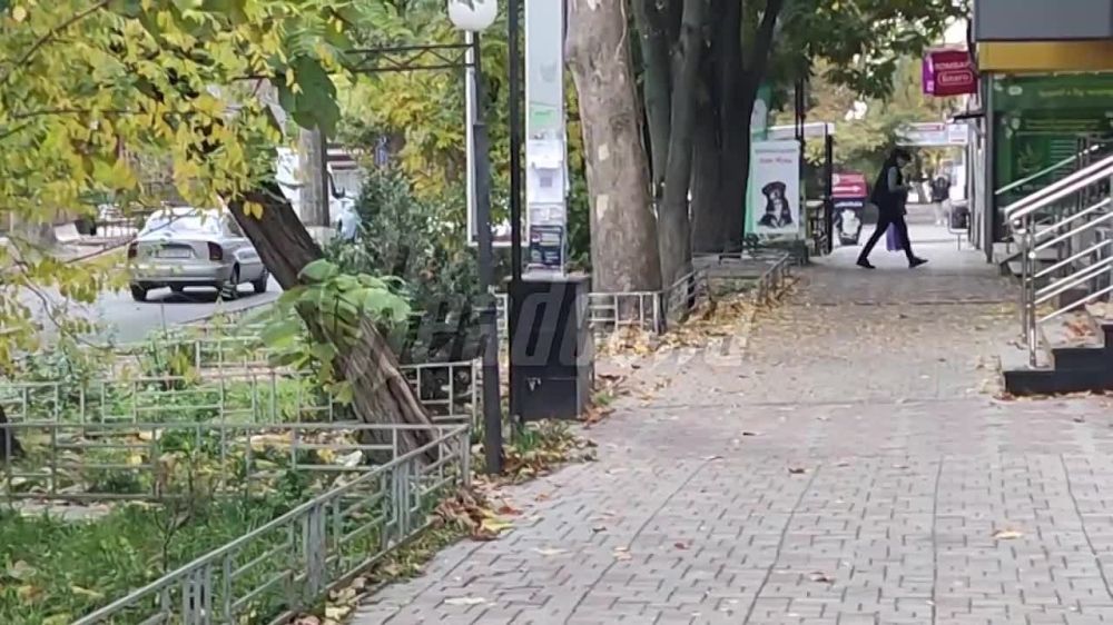 � ������� ��-�������� �������� ������������ ����������� ��������