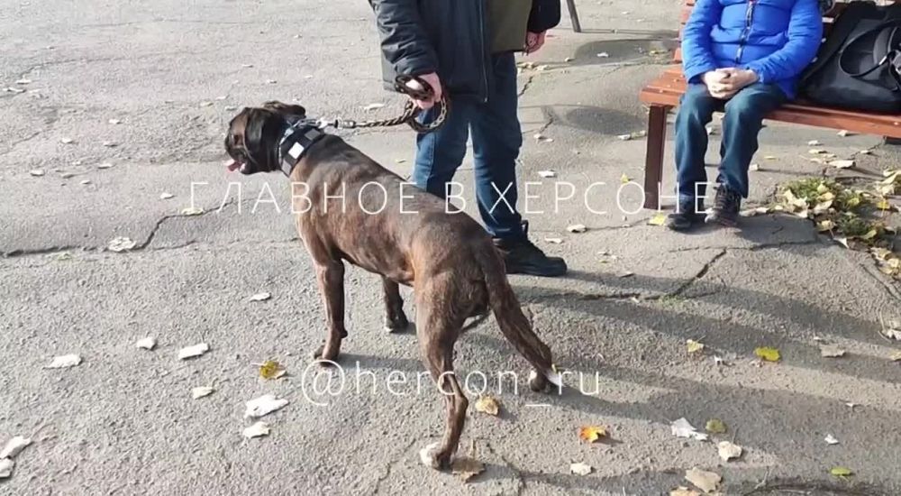 � �������� ���� � �������� � ��������� ������������