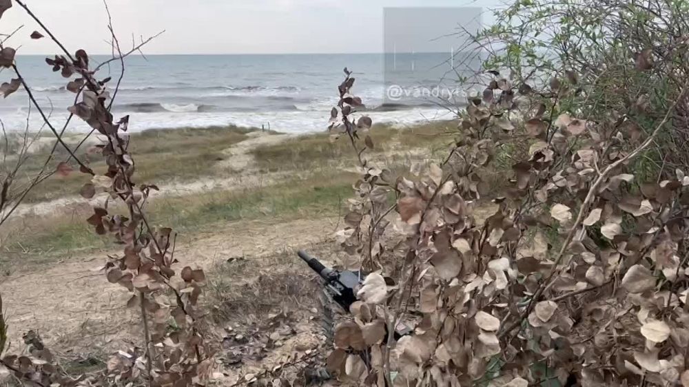 Vlad Andrytsa: ��������� � ���������