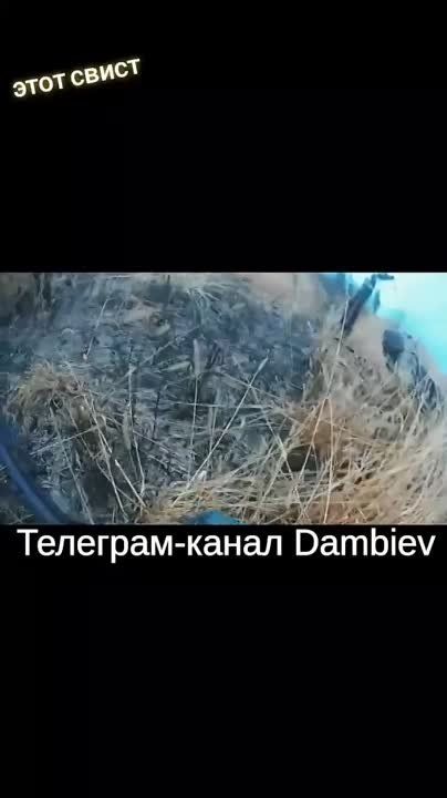 ������� ������� ���������� ������� ������ �������-������������������ ����������� V �� �� �� ���������� �����������