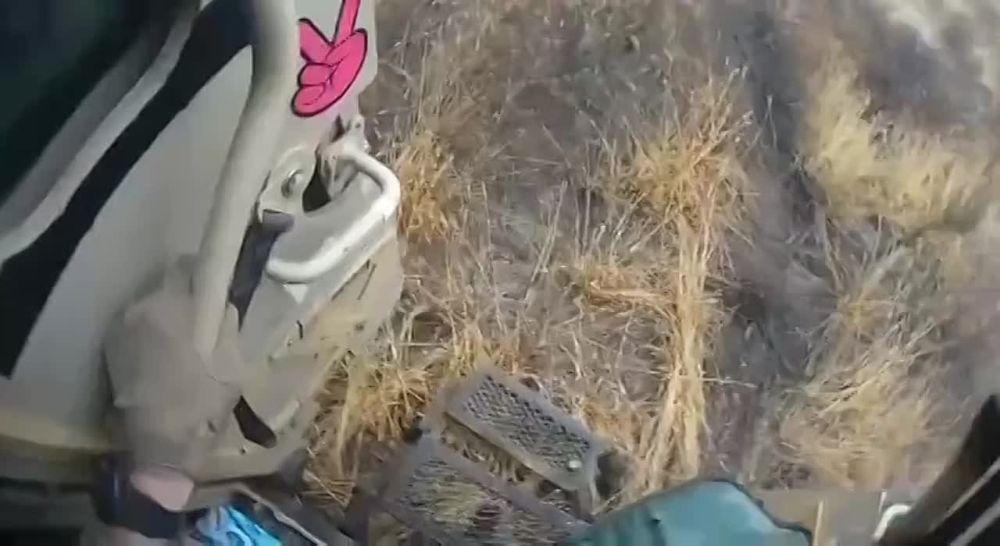 ����� ������� �� ���� ���������� ����������� Mastiff ��� � ���������� �������