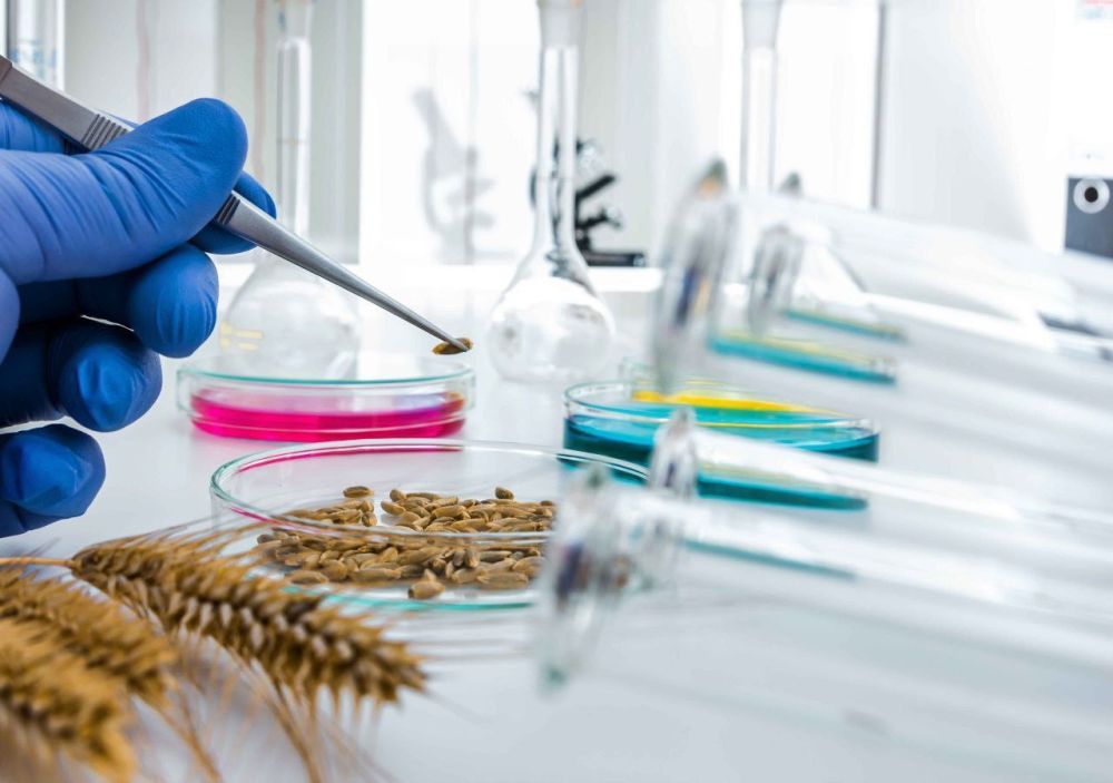 ��������� �������������� ���������� ������� ������������ ���� ������ !