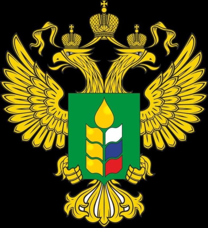 ����� ������� �������� ������� �������������������� �����������