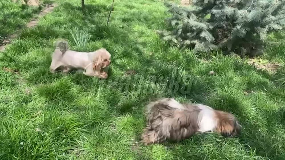 �� ������� � 23 �������� �� ����� � ������� � Readovka ������ ������ � �� ��������, ����������� ��������� ��������� ����� � ������� ������ ������