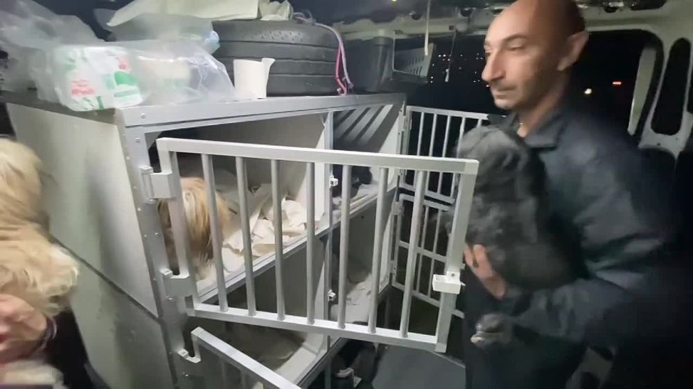 ������ ��� ������, ������������ ������ ������� �������, ���������� ������, ��� ��������������� ������ �������, ���������� ��������������, ����� ������� ���������.