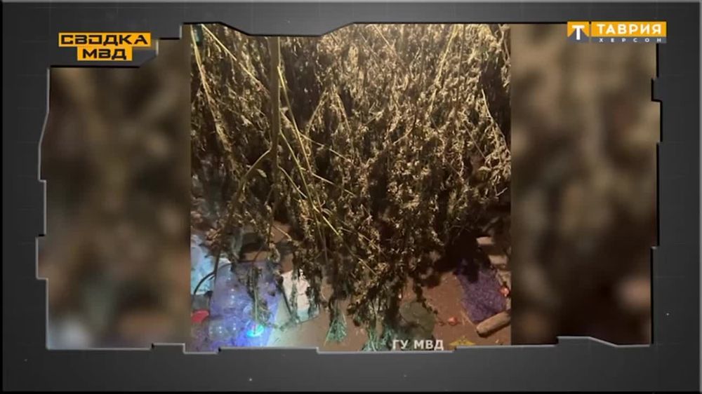 ����������� ������ ��� �� ������: