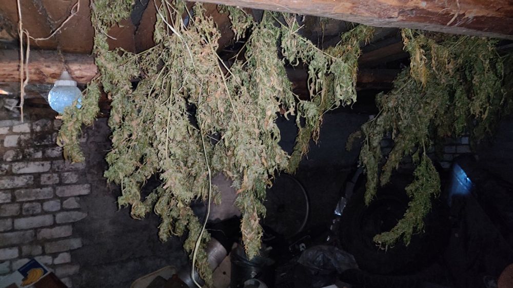 ����������� ������ ������ ���������� � ���������� ������������� ������