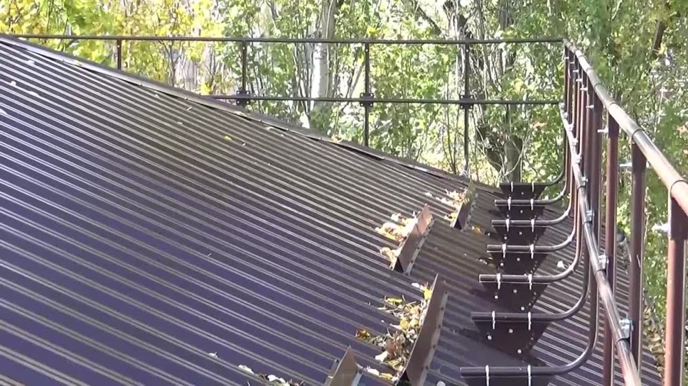 ������������ �������� ���� ������������ ������ ��� ����� ������