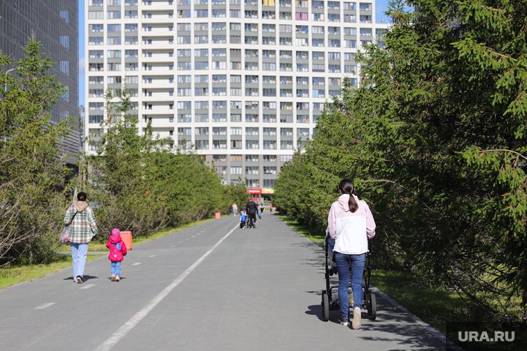 ������ ���������� ������� ������� ���������� ����� � ����� ������� ������