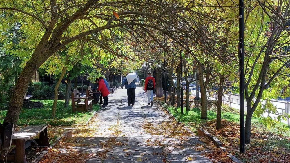 ������ ��������� � �������� �� ���������� � ������� � �������