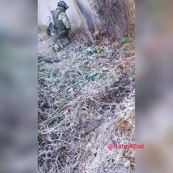 ������� ��������: ��������� ����� � ������� ���������� �������� ��� ��������� ����������� ���������� � ���� ������� ����������� ���������� �������