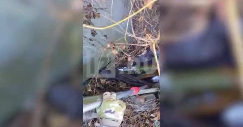 ����� � ������� ���������� �������� ����� � ���������� �������