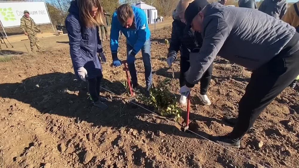 �������, � �����, � ������ ���������� ����� ��������� ���, ������������ ������������ �������� ���������� ����, ������������ ��������� � ��������������� ������������� ������ ��������� �������� ����� 3 ���. �������� ��������