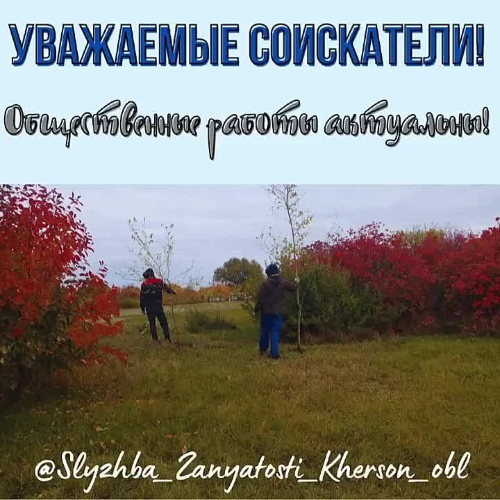 ������������ ������ ��� ���������