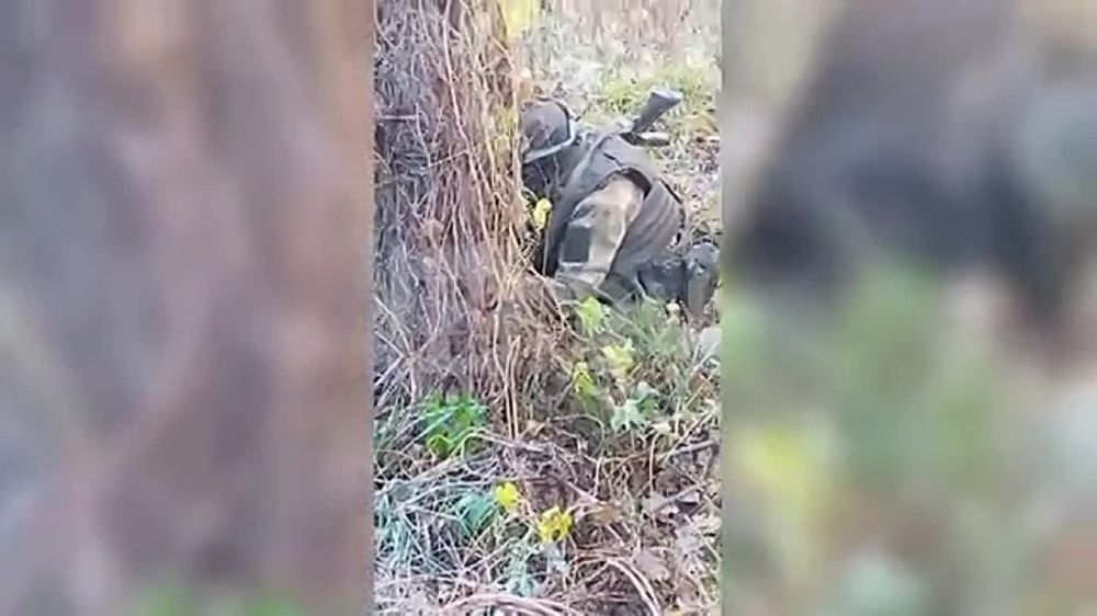 � ���������� ������� � ���� ������� ���������� ���������� ������� ���������� ����� � ������� ���������� ��������