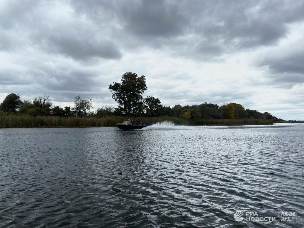 ���������� ������ �������� ���������� � ������ ������� �������� �� ����