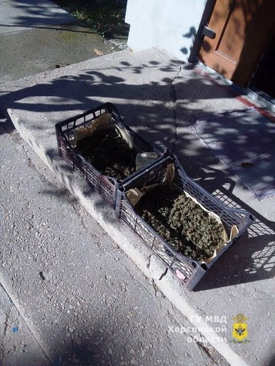 ���������� ������� ���������� � ������� ������������ ������ ���. �������� 5 �� ���������