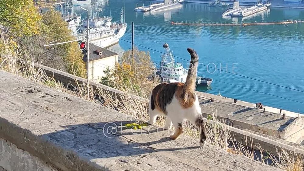 ��������������� ���� ���� ��������� � �����