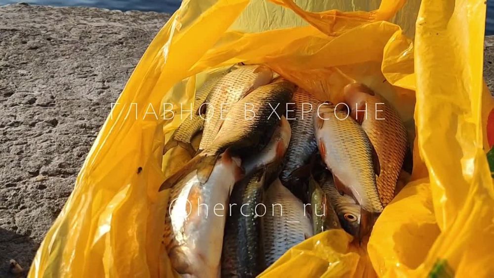 ���� �� ����� ��������������, ��� � ���������� �������