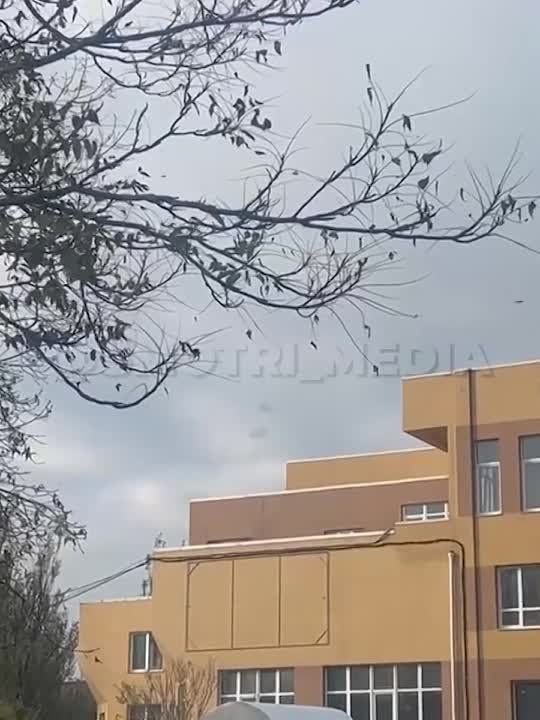 � ������� ��������������� ��� ����� 4 ������, ���������������� "�����" � ���������� ������ ������