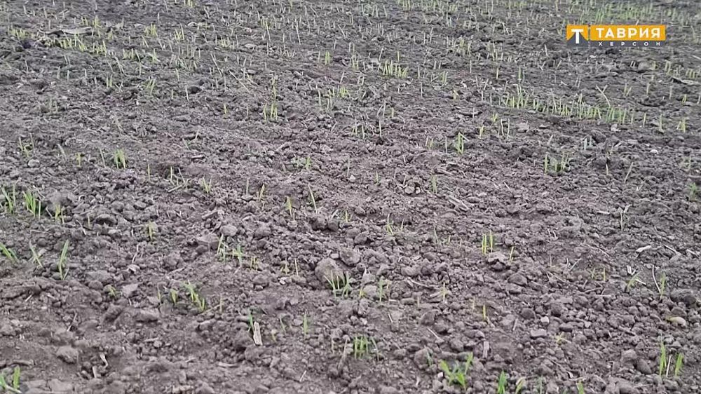 ������ ������� ���������� ������� ������ �������� ��������� ��������