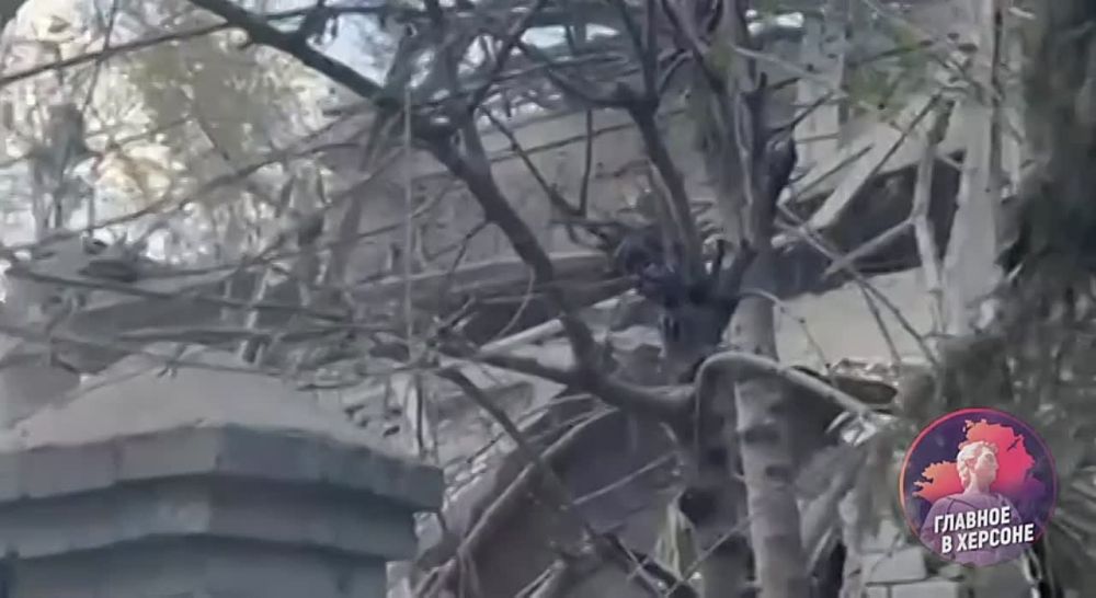 ��� ���������� ������������� ����� �������� � ������ ��������� ���������, ������������ ���