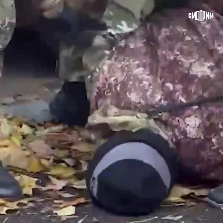 ��������� �������: ������! ��� ������. ����������! ����� ����� ��������, �������� �� �������� � 1999 ����