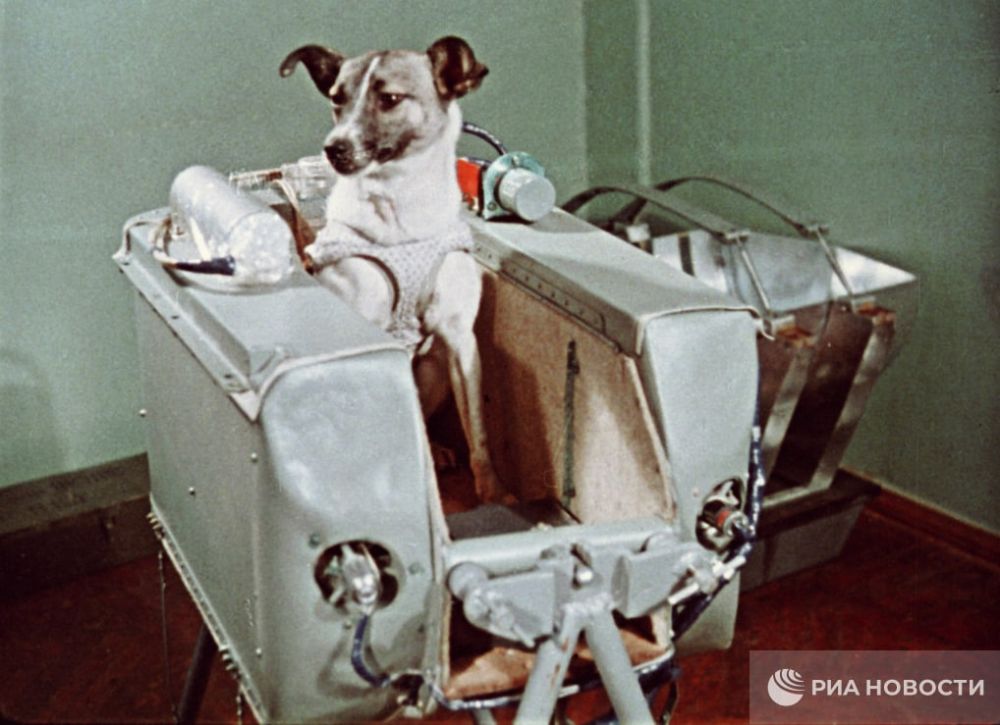 65 ��� ����� ������� � ������ ���� ���������� ����� �������� - ������ �����