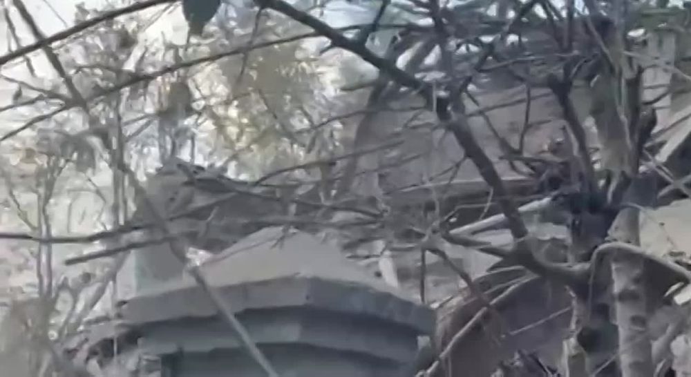 ������ ����������: �������� � ������� � ������� ����� ��������