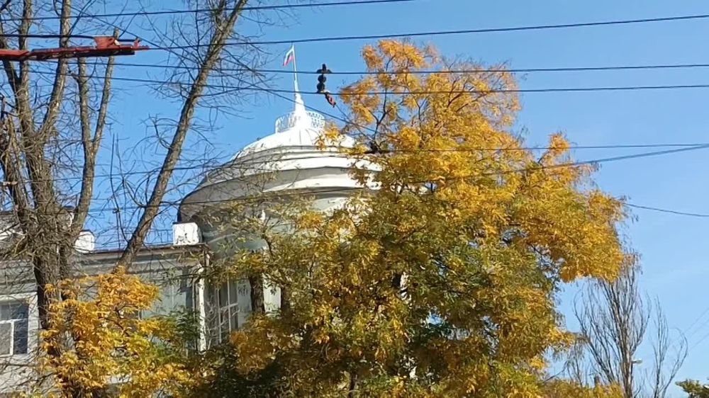 ��, ��� ����� ������ �������� � �������, ������������ � ������� ����� ���������