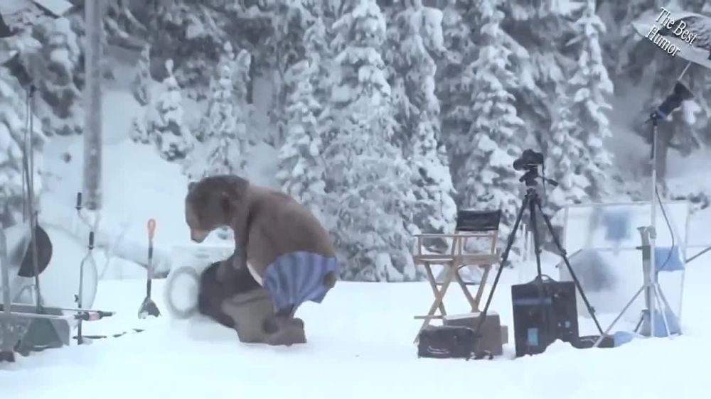 ������ �� �����, ��� ���� �������� �����